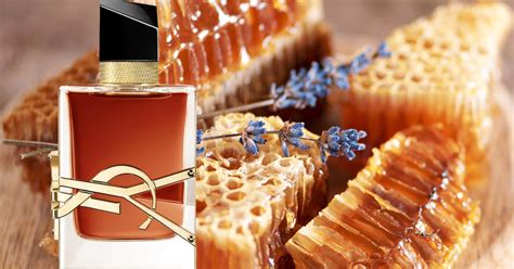 libre ysl recensioni